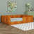 Pumpkin Orange est en rupture de stock sélectionné