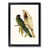 Black Framed selected
