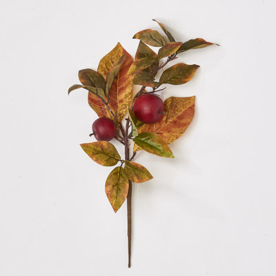 Fall Apple Spray