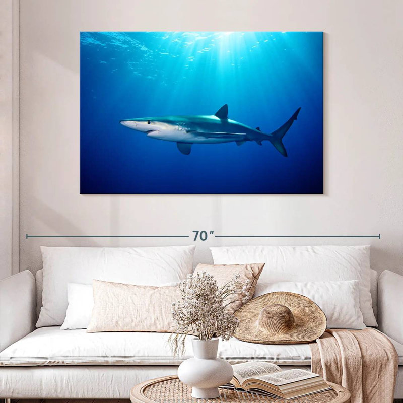 Brampt Blue Shark In Gordon's Bay, 32" H x 48" W