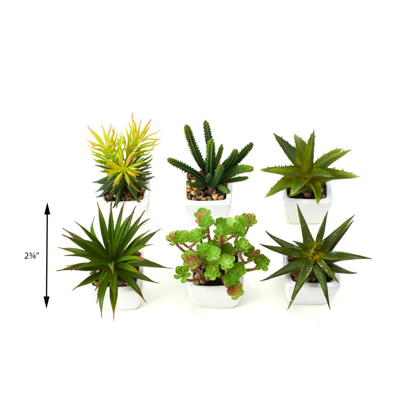 Ensemble de 6 cactus artificielles succulent dans un pot