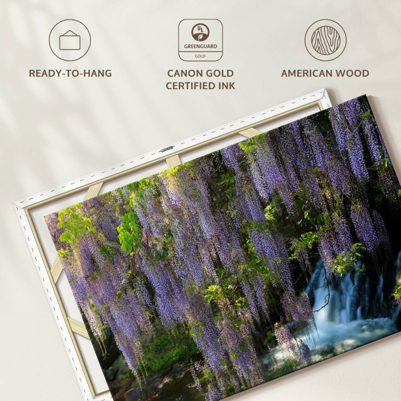 Harnek Wisteria Cascade, H 32 po x l 48 po