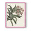 «Pink Floral Mix VI», reproduction encadrée - bois massif-1246499494-1246499512