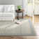 Kaylee Flatweave Wool Indoor Rug