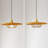 Industrial Cage Pendant Lamp