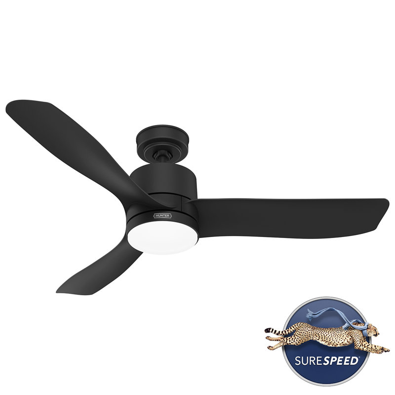 Hunter 52 Inch Bolsa Damp Rated Ceiling Fan With Lights And Remote, Matte Black