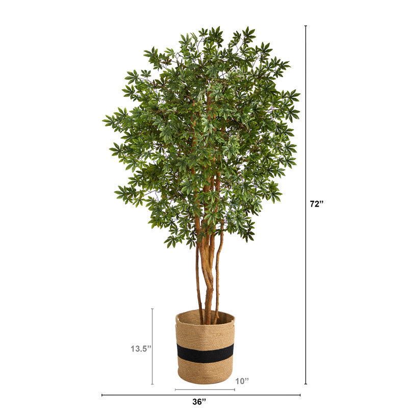72'' Faux Maple Tree in Burlap, Cotton Planter