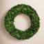 Boxwood Wreath-1919842297