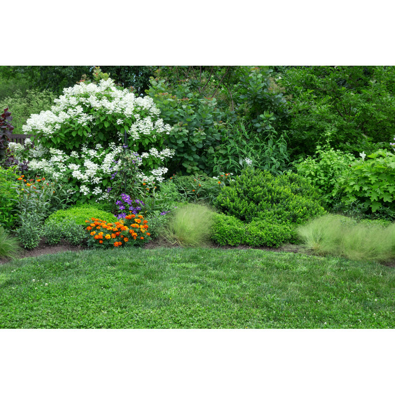 Blooming Garden by Studio Light And Shade - Wrapped Canvas Print, 20cm H x 30cm W