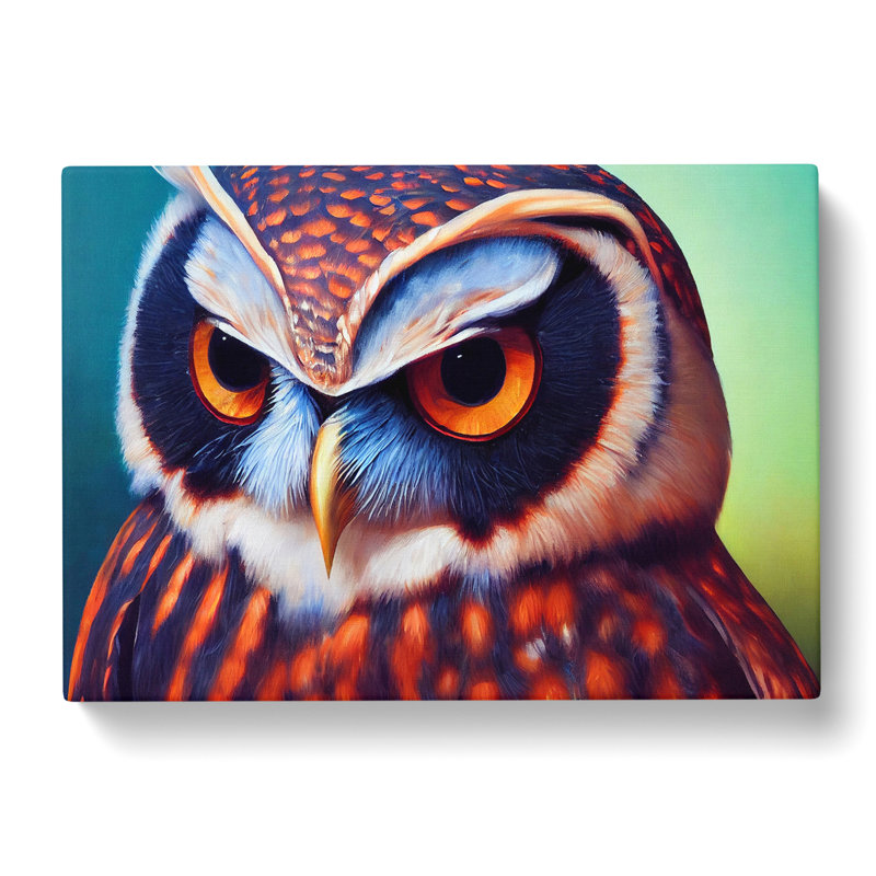 Brilliant Owl - Wrapped Canvas Photograph - Wrapped Canvas, 40cm H x 60cm W x 3cm D