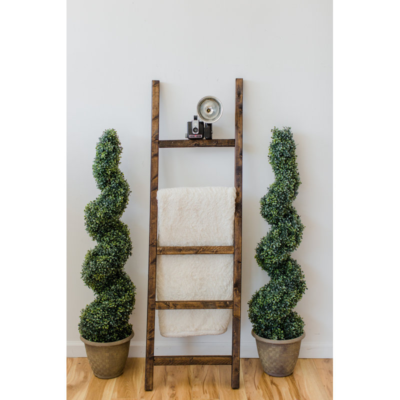 Échelle décorative inclinée rustique 5 pi