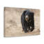 Art mural majestueux paresseux ours-112882361