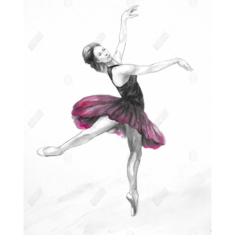 Small Pink Ballerina Print On Canvas