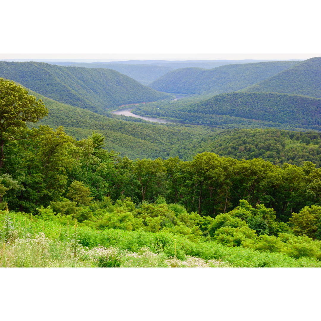 Pennsylvania Wilds von Benedek - Kunstdrucke auf Leinwand ohne Rahmen