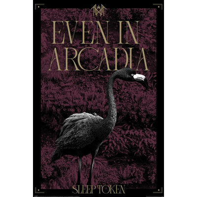  Jeton de sommeil sous licence officielle - affiche d'art Arcadia - 24 x 36 po - reproduction décorative - papier affiche - prêt à encadrer