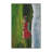 Indoor Rug-1455354791