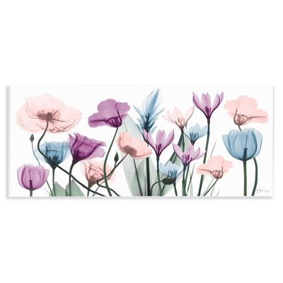 Modern Translucent Pastel Tulips Flower Buds Blossoms Oversized Stretched Canvas Wall Art By Albert Koetsier