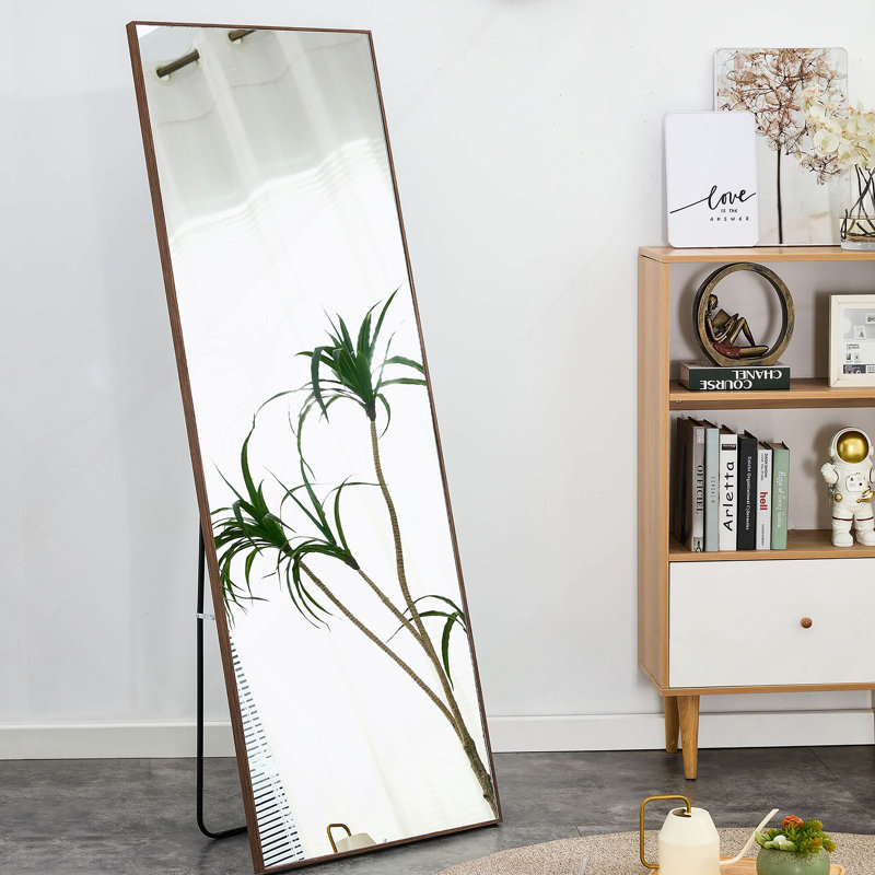 Miroir pleine grandeur propre et magnifique, 65 po x 23 po, Brun