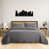 Gris anthracite