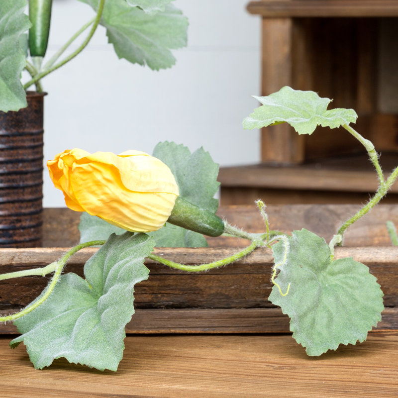 Squash Vine Stem