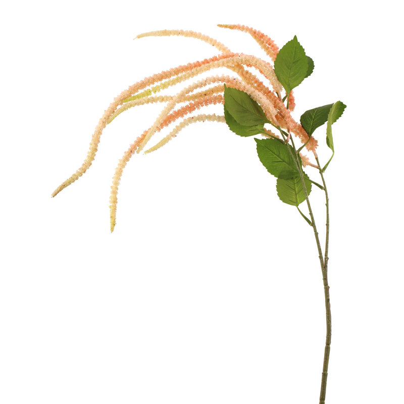 Arrangement, Pink