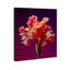 Taffeta Twilight I Print by Oliver Gal-1936432535-1936432541