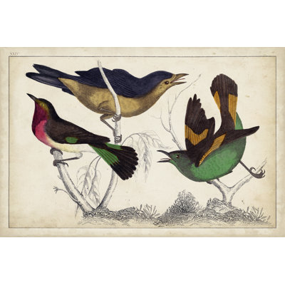 Tropical Bird Trio II - Painting