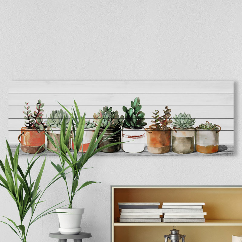Impression encadrée « indoor succulents », H 20 po x l 60 po x P 1,5 po