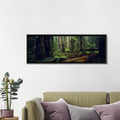 «Panoramic Trees in a Forest, Hoh Rainforest, Parc national olympique, Washington State», reproduction de photo sur toile tendue