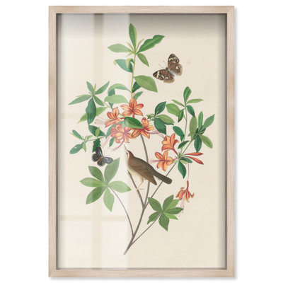 Orange Azalea Shadowbox Print Botanical Art by Art Remedy