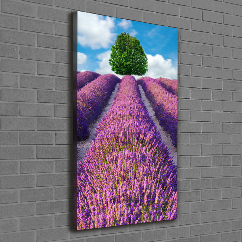 Lavender Field - Wrapped Canvas Print
