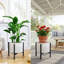 Plant Stand
