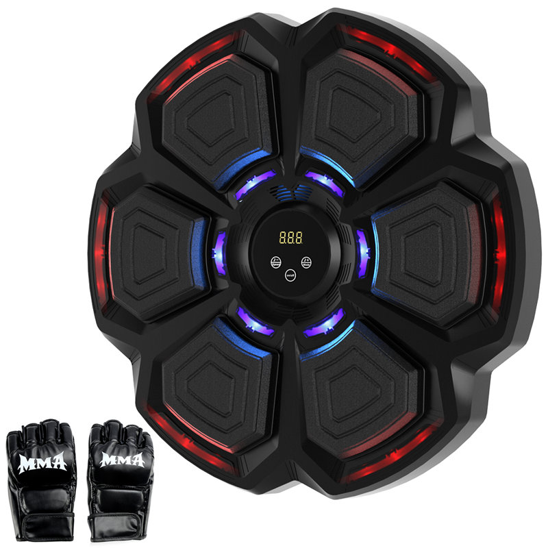 Wall Mount Music Boxing Target