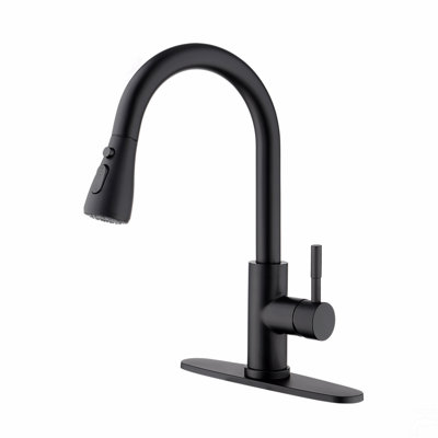 Kitchen Faucet With Pull Out Spraye