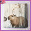 Couvre-lit matelassé Capybara In Grass toutes tailles-126737255