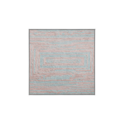 Machine Washable Gray Area Rug