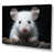 Wrapped Canvas