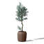 Plante en pot d'olivier artificiel moderne et minimaliste-355061355