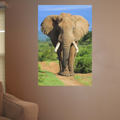 Animals Non-Wall Damaging Wall Decal