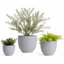 Pot à fleur Dorlis Fiberstone-881441047-881441045