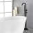 1 Clawfoot Tub Faucet with Hand Shower and Diverter-62156309