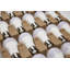 14 Watt LED Bulb-1776785540