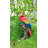 Parrot on Branch Statue