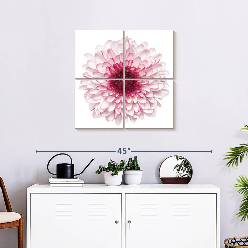 Harnek Pink Chrysanthemum