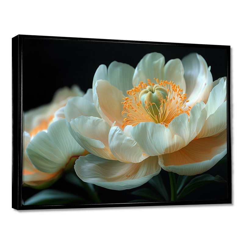Rinaldi - pivoines, impression d'art mural, H 12 po x l 20 po, Cadre noir