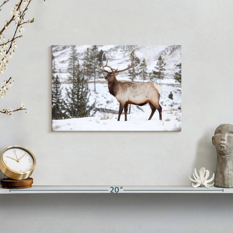 Winter Bull Elk, 8" H x 12" W