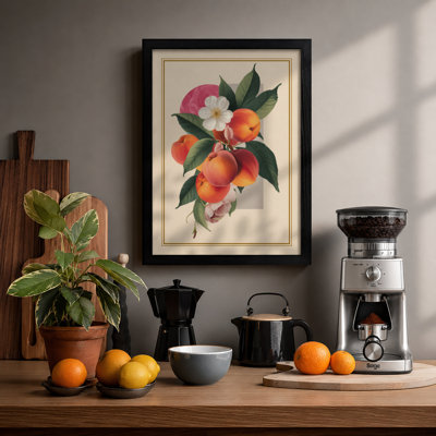 Peach Blossom Study Botanical - Framed Print