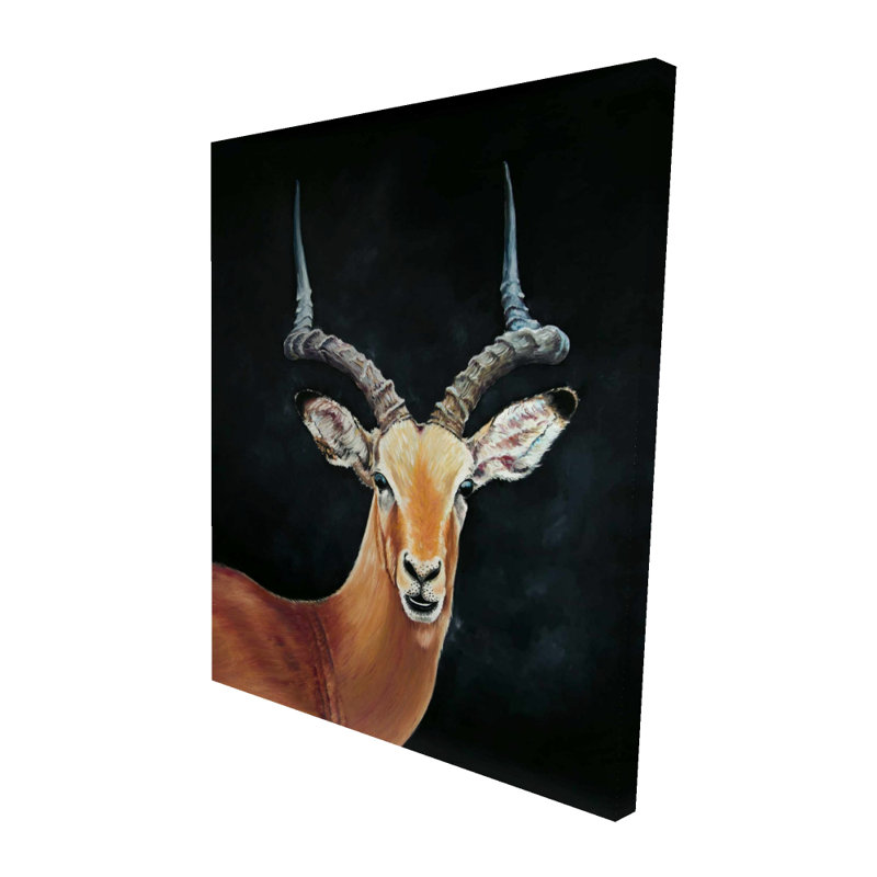 Antelope - Deer Canvas Wall Art for Home Decor | Stylish Accent