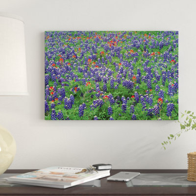 " Sand Bluebonnet And Paintbrush Flowers, Hill Country, Texas II " by Tim Fitzharris