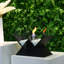 Audrianne Bio-Ethanol Outdoor Tabletop Fireplace with Flame Guard